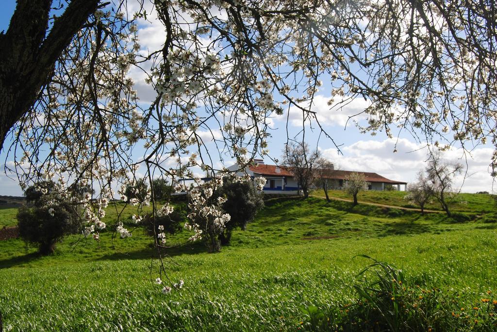 Herdade Dos Mestres Villa Terena Esterno foto