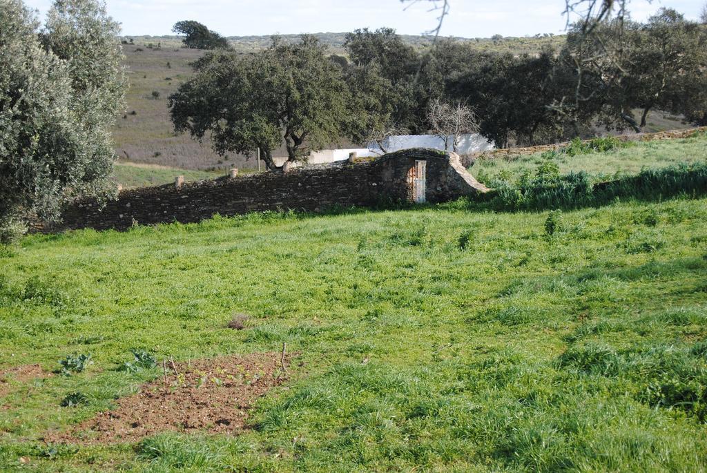 Herdade Dos Mestres Villa Terena Esterno foto