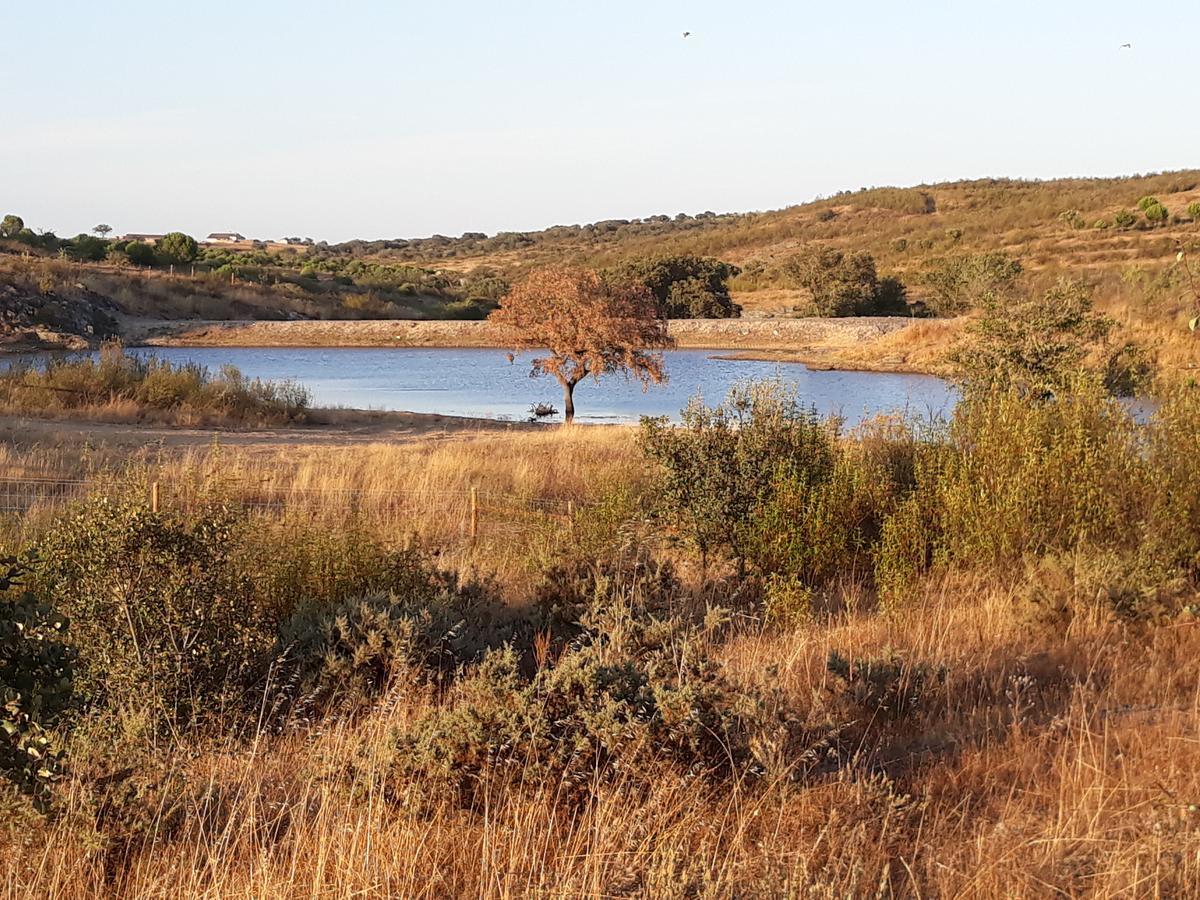 Herdade Dos Mestres Villa Terena Esterno foto